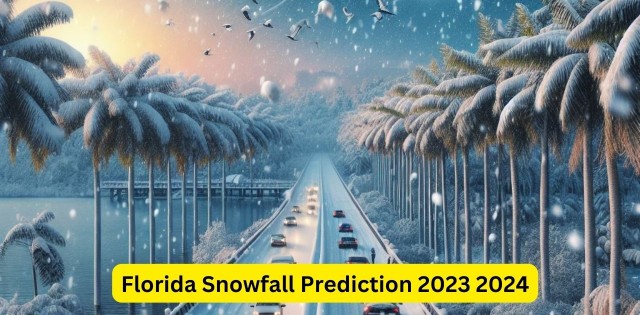 This image show a Florida Snowfall Prediction 2023 2024