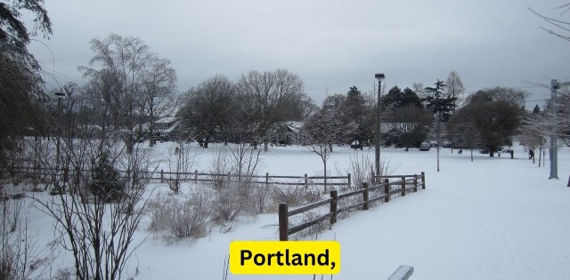 25-portland