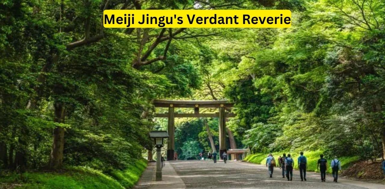 Meiji Jingu's Verdant Reverie