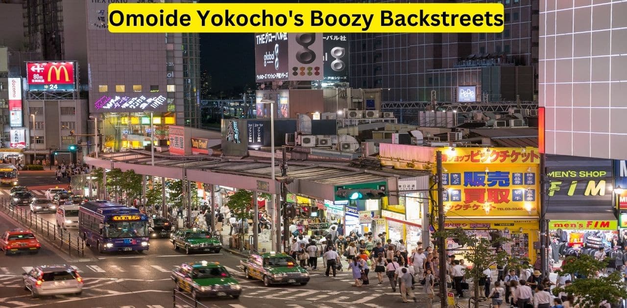 Omoide Yokocho's Boozy Backstreets