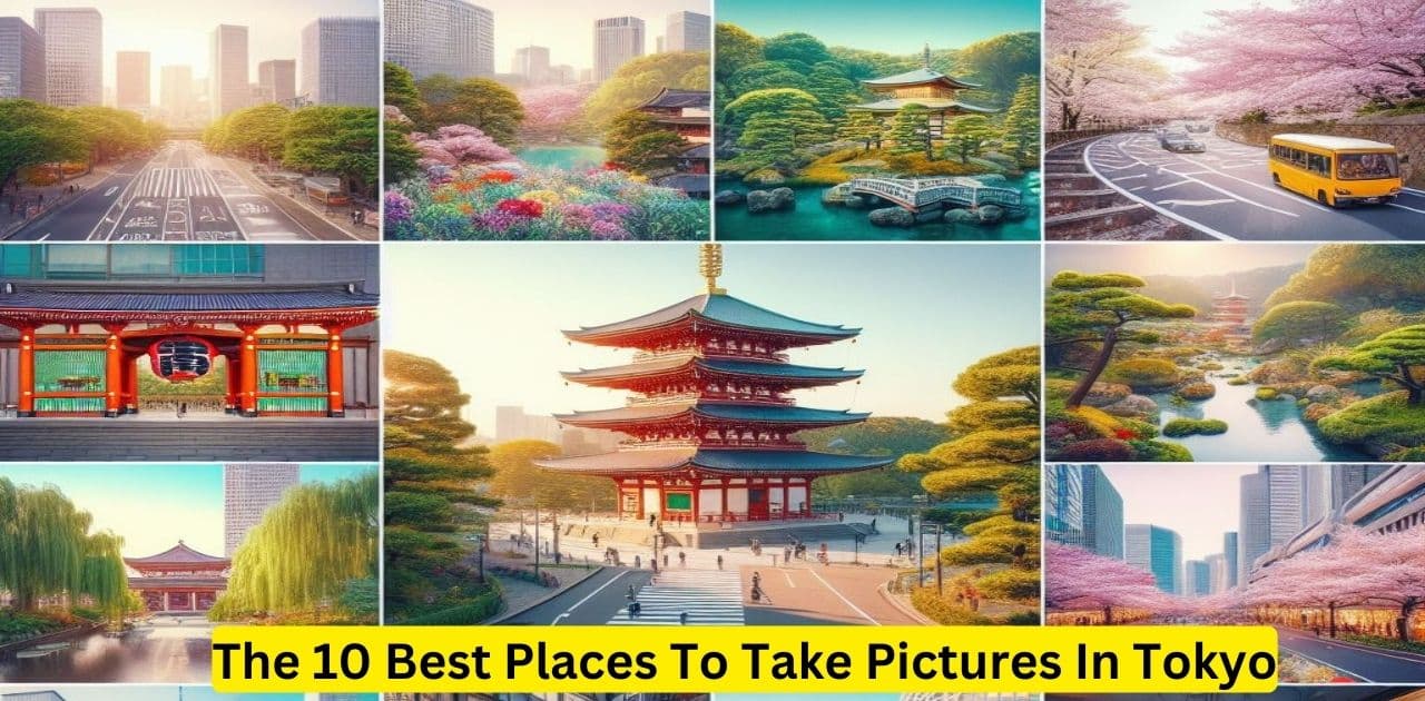 This image show a The 10 Best Places To Take Pictures In Tokyo