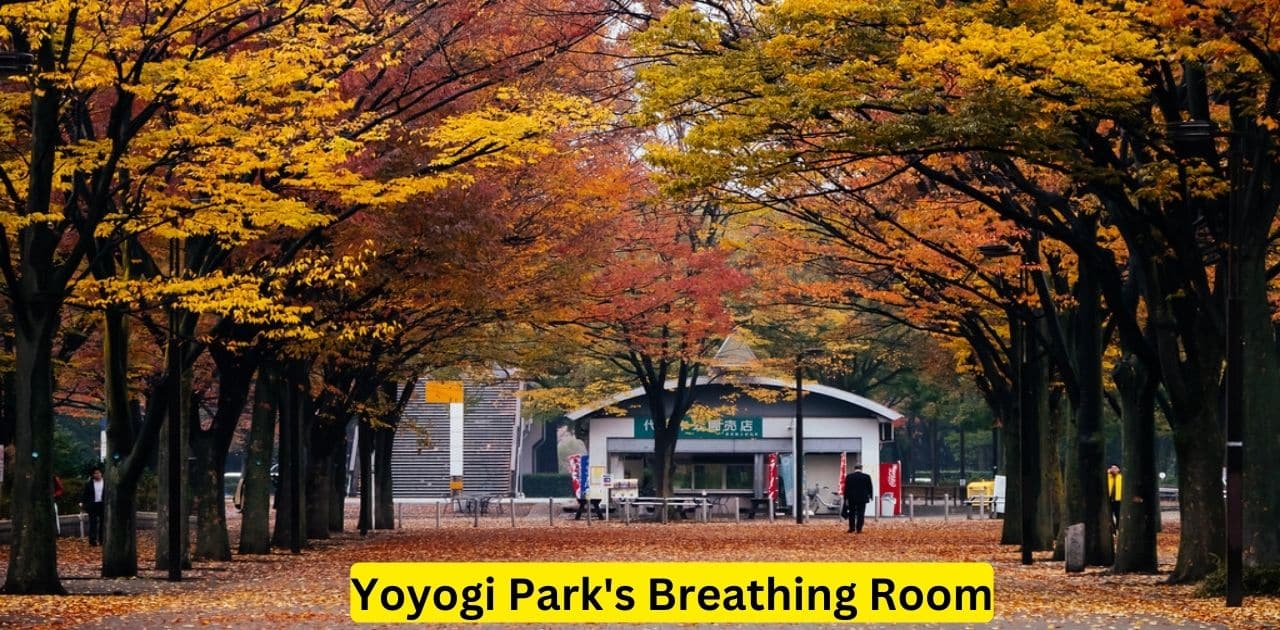 Yoyogi Park's Breathing Room