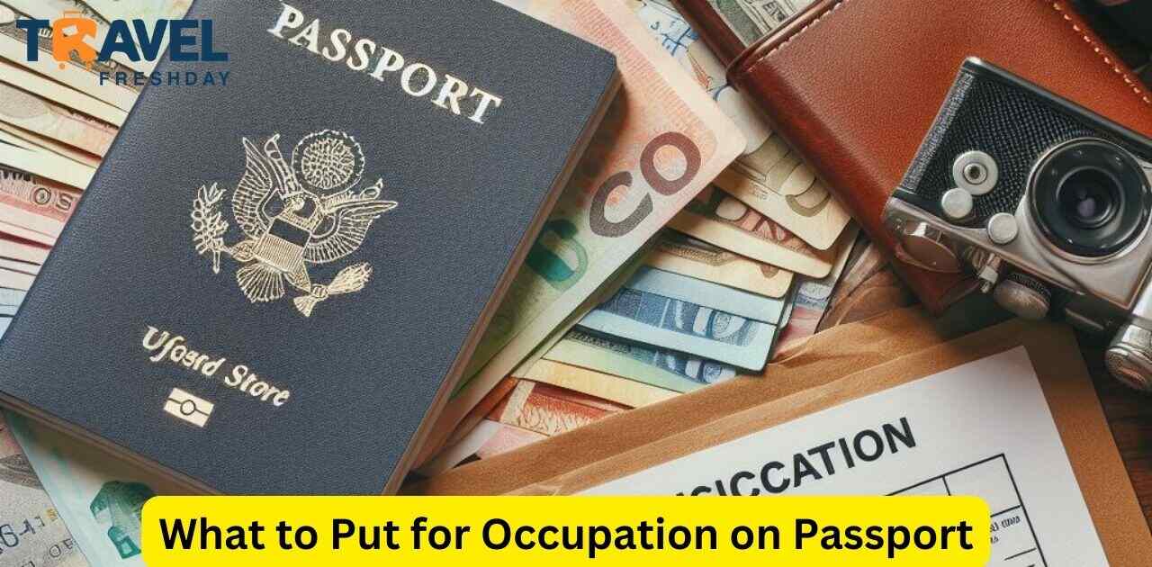 What to Put for Occupation on Passport